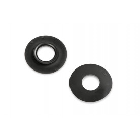 Puerto interior Scuba Force...