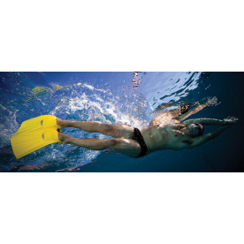 Monoaleta Finis Foil Monofin 2